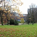 Bryssel 28 november - 1 december 2012 (15)